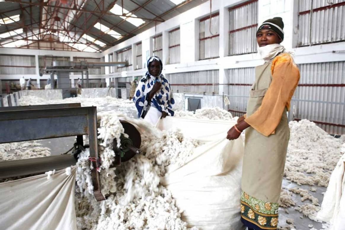 Cotton Ranking 2020: Widening gap between sustainability leaders and laggers
