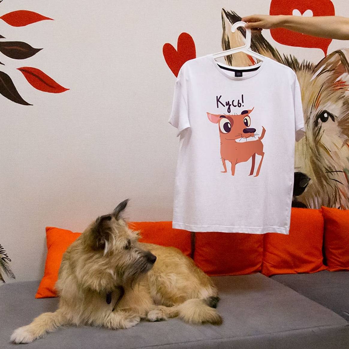 Интернет-магазин Vsemayki и Dog House выпустили одежду и аксессуары