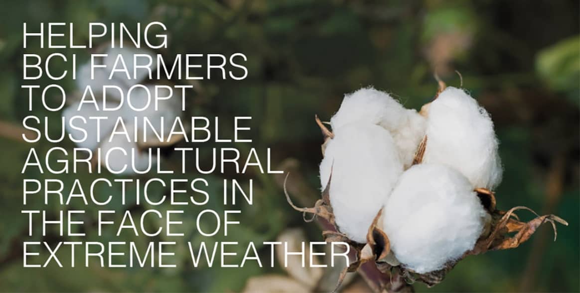 Tendam se adhiere a la Better Cotton Initiative