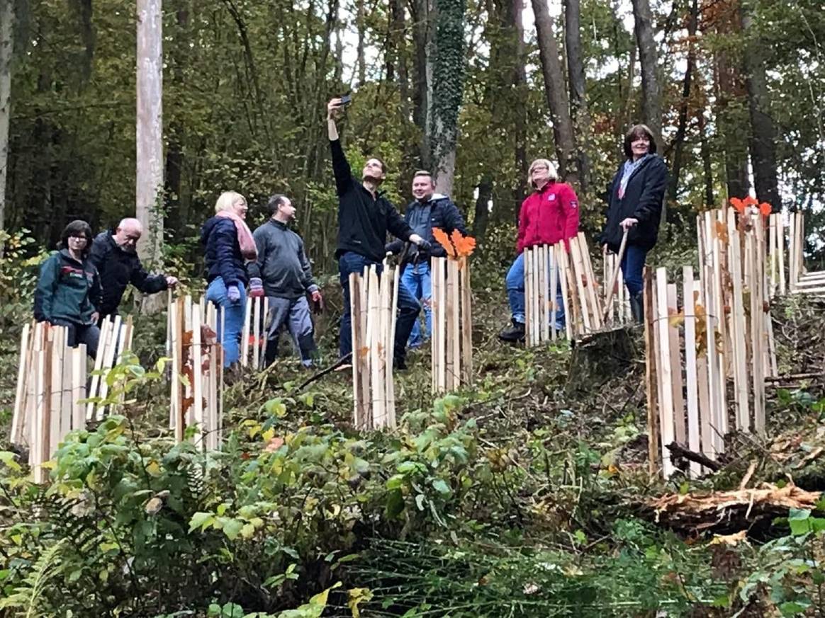Pirmasenser Unternehmen Stockmayer engagiert sich für Aufforstungsprojekt im Pfälzerwald