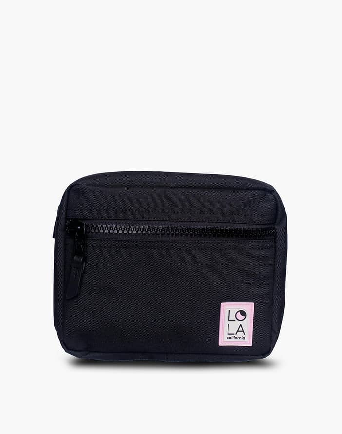 Fanny on sale pack madewell